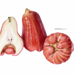 pear-apple-2021-04-08